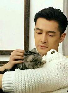 娱乐圈优点,魅力无限，星光璀璨的娱乐盛宴