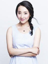 演员刘慧个人资料,光影交织下的璀璨星途